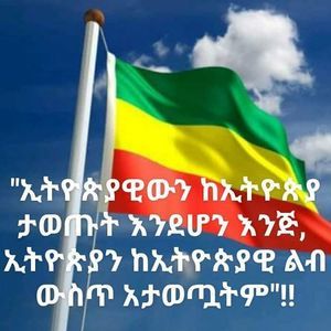 Meet your Posher, Demelashe